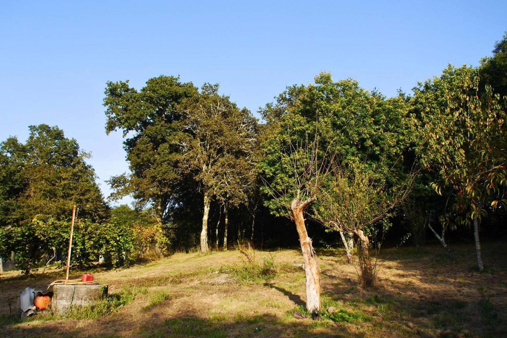 Casa Ermitas - Relajate En Plena Naturaleza A Estrada Exteriér fotografie